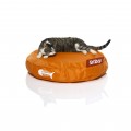 fatboy catboy orange